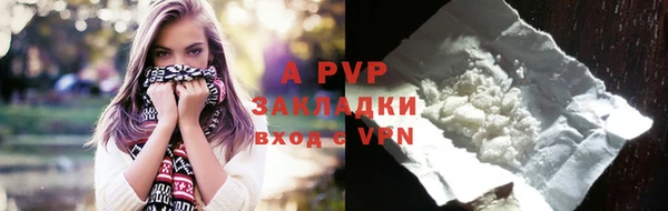 индика Слюдянка