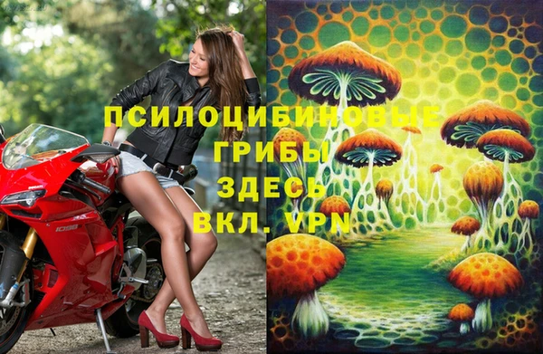 бошки Алексин