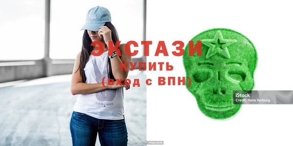индика Слюдянка
