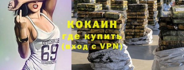 бошки Алексин