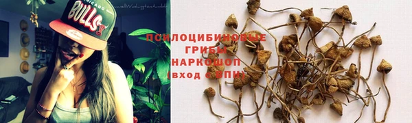 бошки Алексин