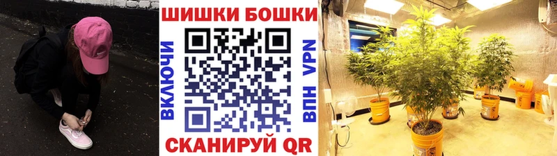 OMG вход Далматово Марихуана OG Kush
